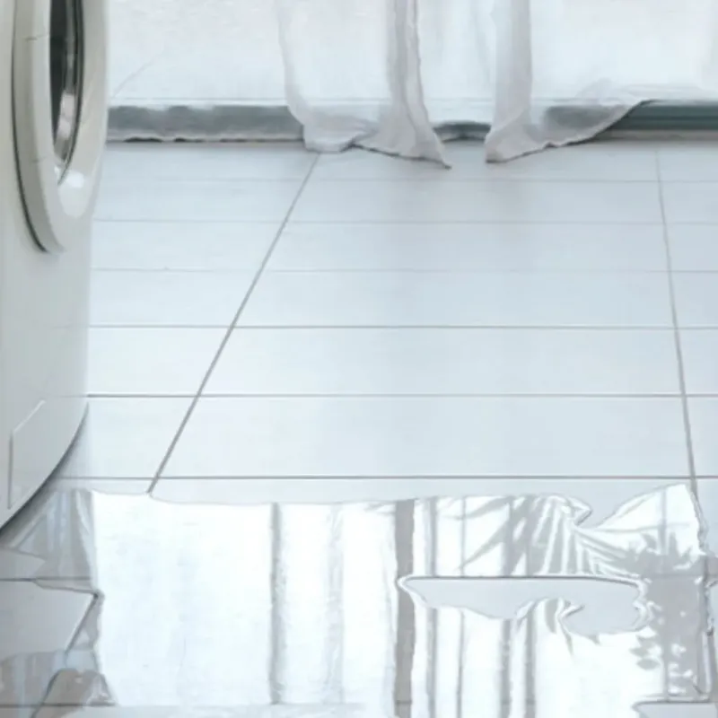 Appliance Leak Cleanup in Bunkie, LA