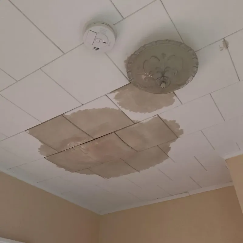 Ceiling Water Damage Repair in Bunkie, LA