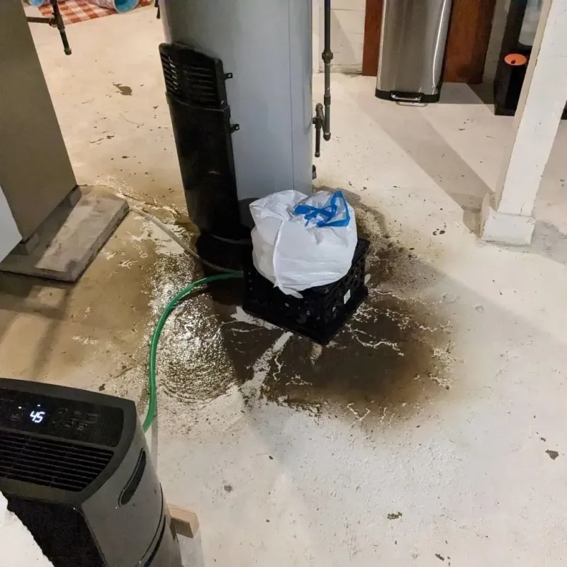 Sewage Backup Cleanup Service in Bunkie, LA